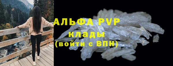 гидра Козловка