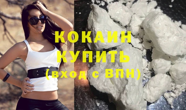 дмт Краснослободск
