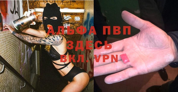 мяу мяу мука Коряжма