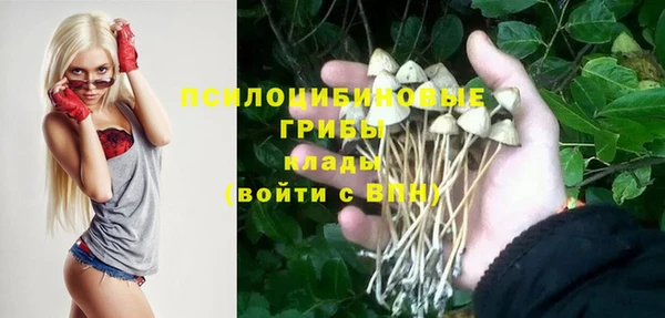 эйфоретик Козельск