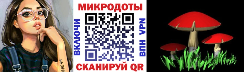 Псилоцибиновые грибы мицелий  Киренск 